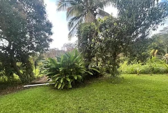 Sleeps 8 - Countryside Retreat Villa Las Piedras Puerto Rico