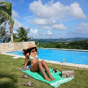 Swim & Paint Art Retreat Las Piedras